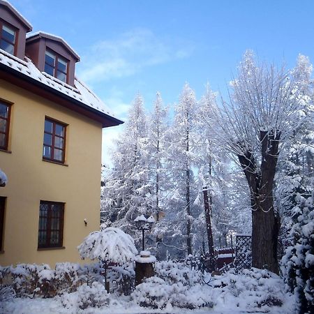 Villa Gorczanska Rabka-Zdrój Extérieur photo